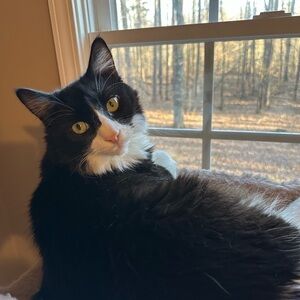 Meet your Posher, Kimberley